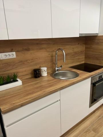 Centar Ns 5 Lejlighed Novi Sad Eksteriør billede