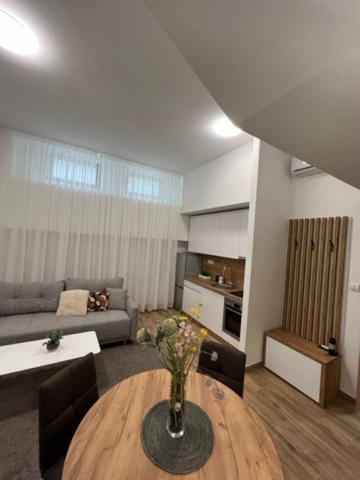 Centar Ns 5 Lejlighed Novi Sad Eksteriør billede