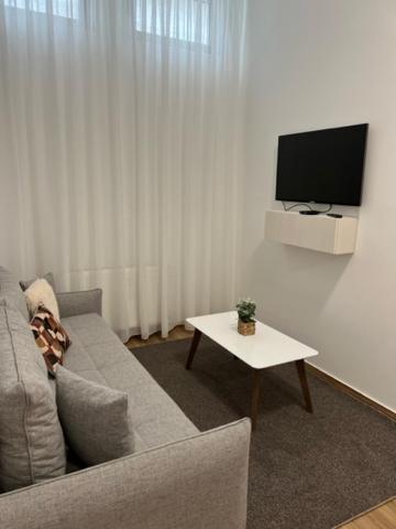 Centar Ns 5 Lejlighed Novi Sad Eksteriør billede